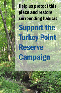 Support our Turkey Point Reserve Campaign